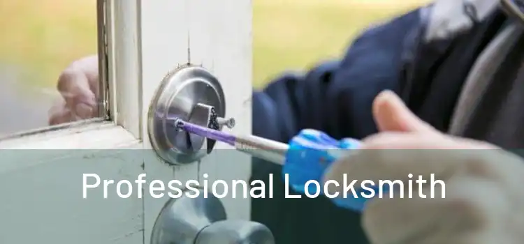  Professional Locksmith 
